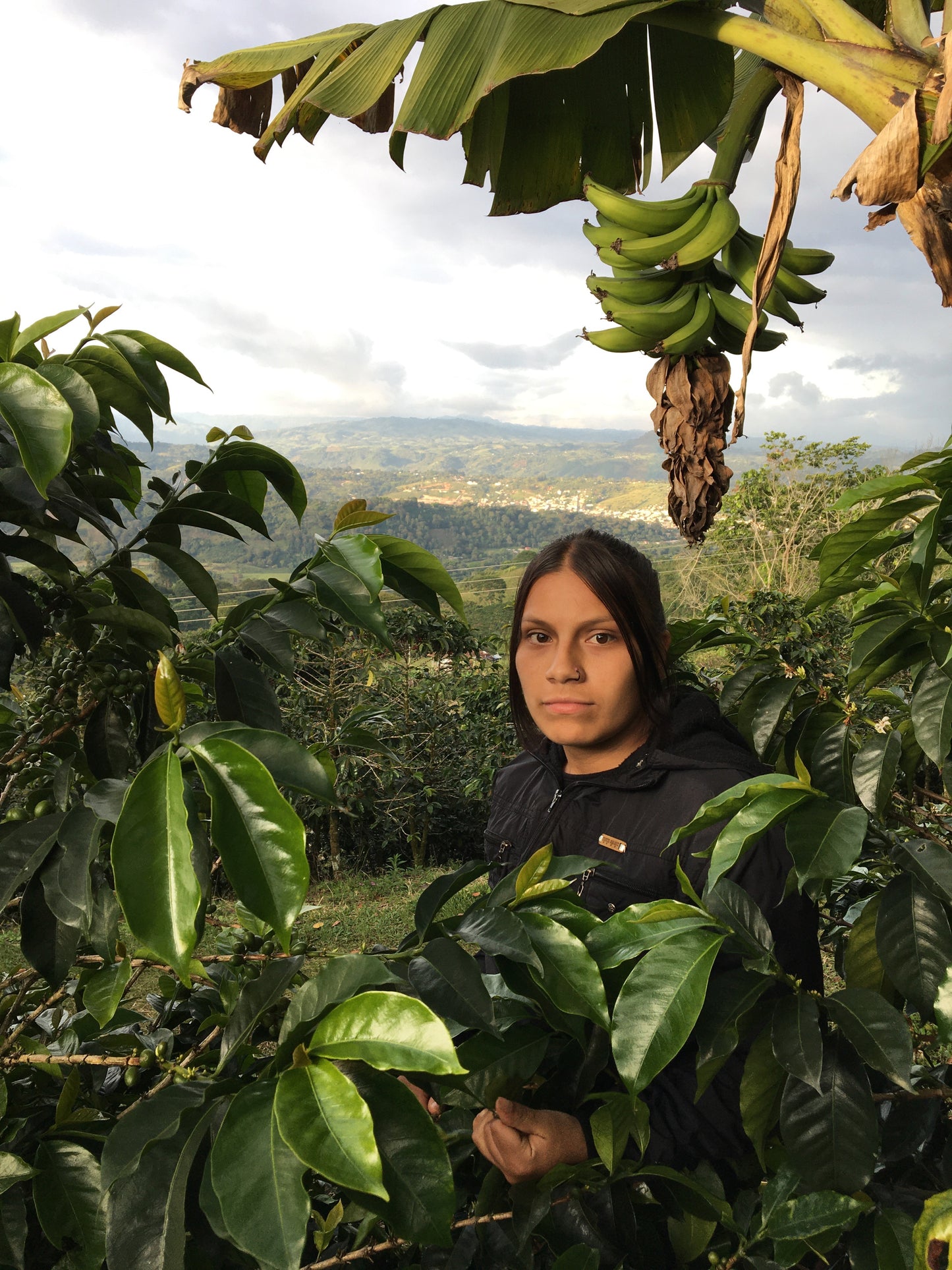 Colombia Silvia Ordoñez Pink Bourbon