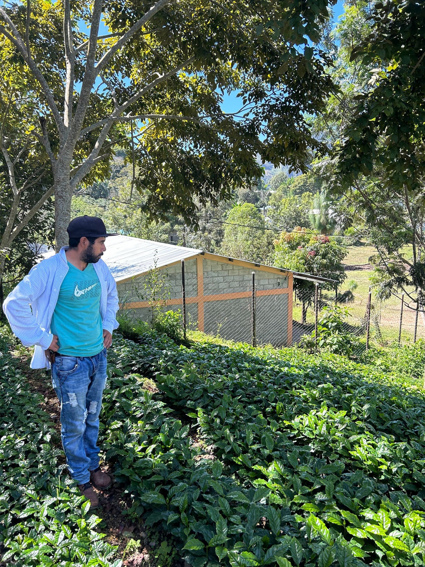 Honduras El Caliche