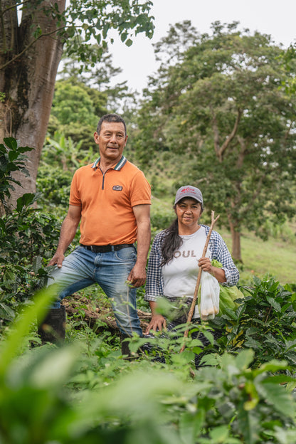Colombia Marleny Imbachí Gesha