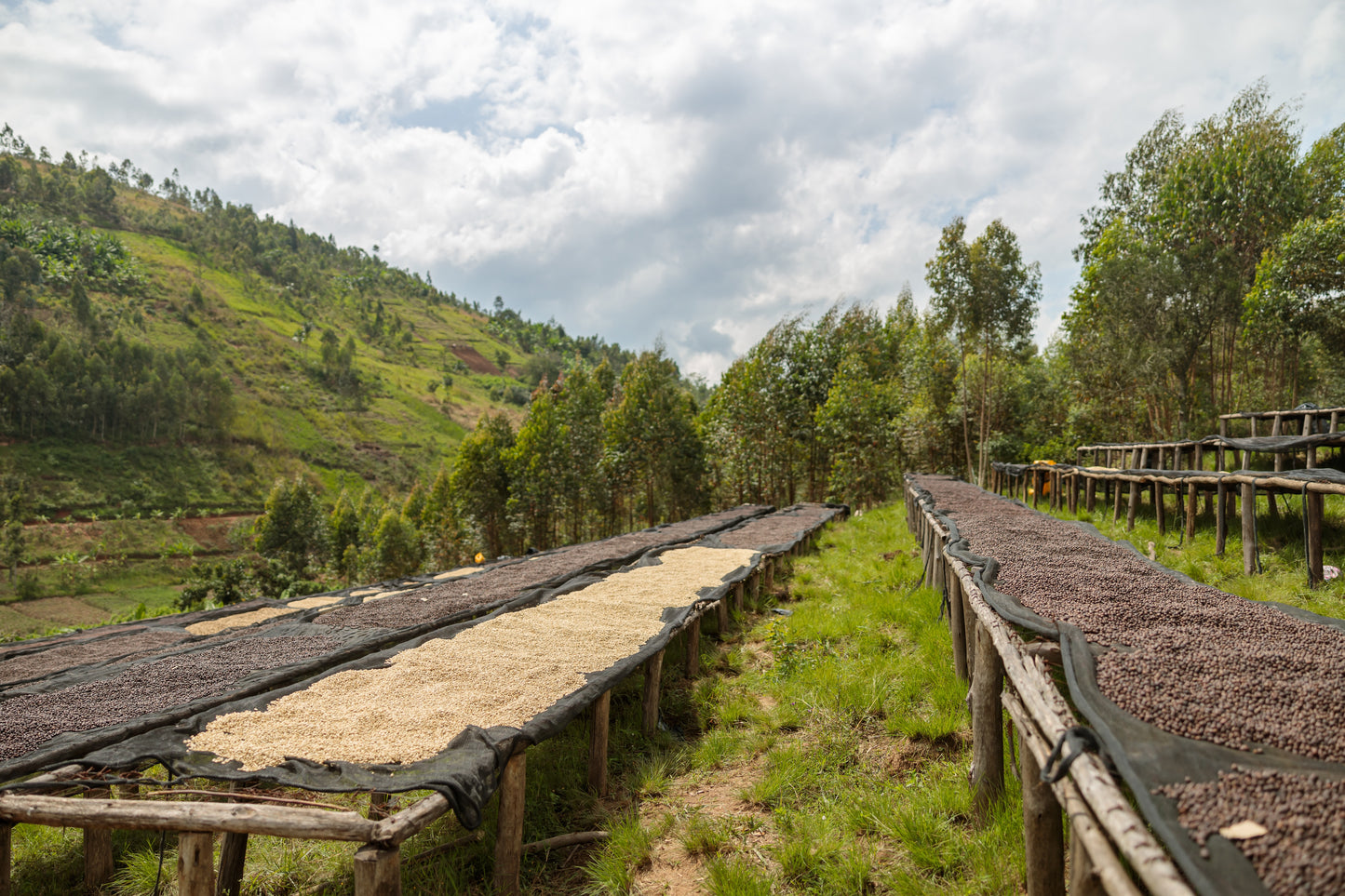 Rwanda Fugi Afrodis Munyangaju