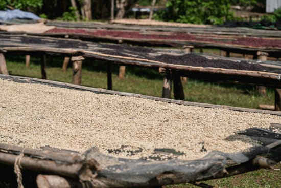 Ethiopia Adado