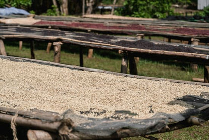 Ethiopia Adado