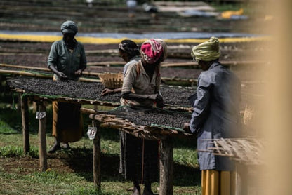 Ethiopia Adado