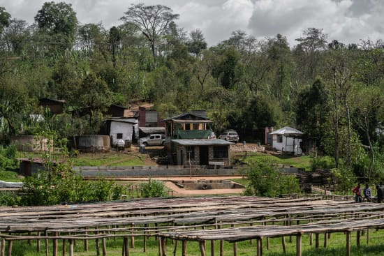 Ethiopia Adado