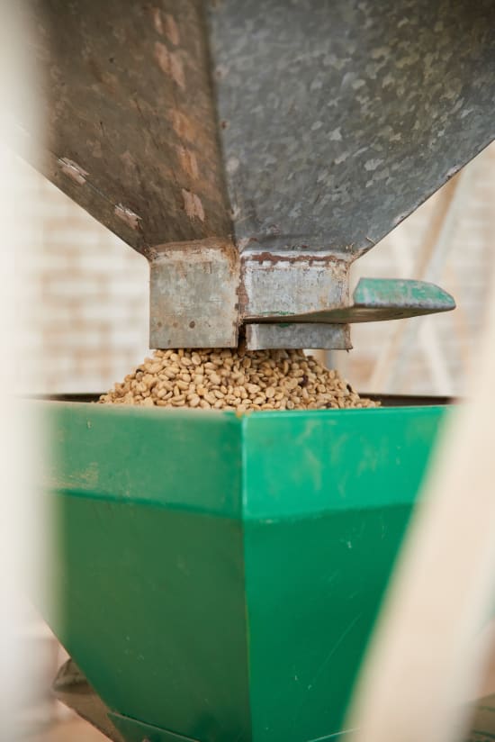 Mexico El Triunfo - Wadi Coffee Roasters