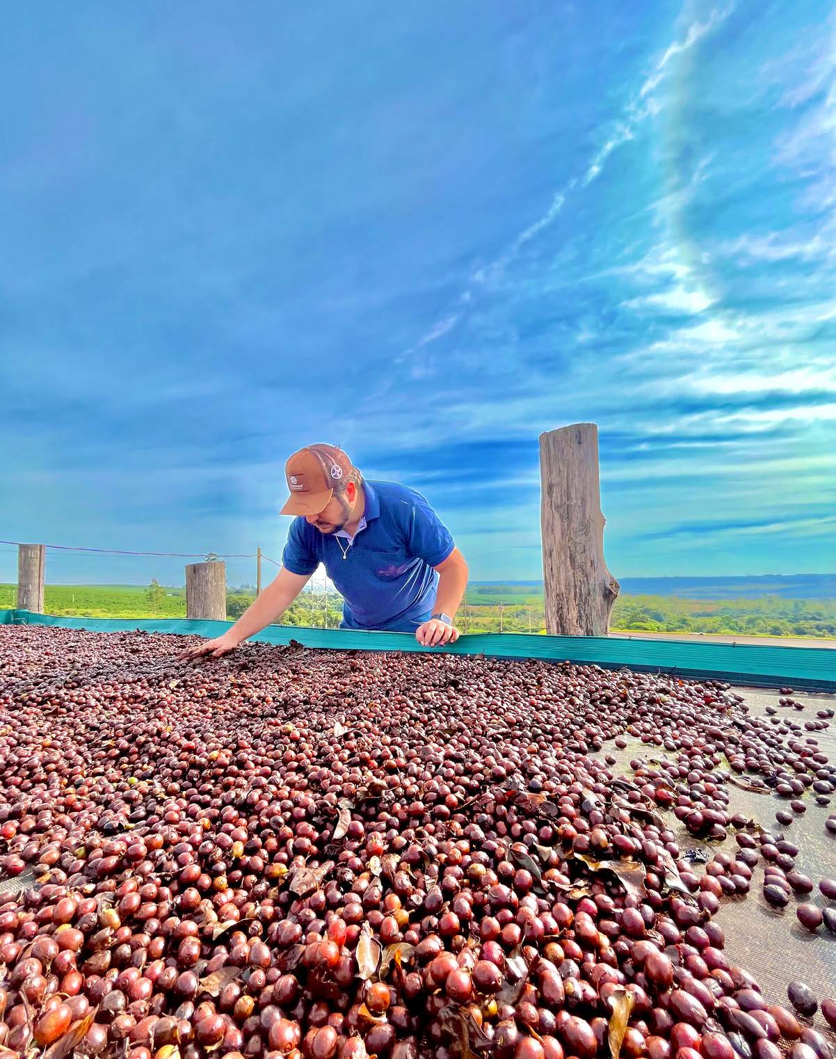 Brazil Caramelo - NEW - Wadi Coffee Roasters