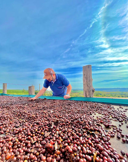 Brazil Caramelo - NEW - Wadi Coffee Roasters