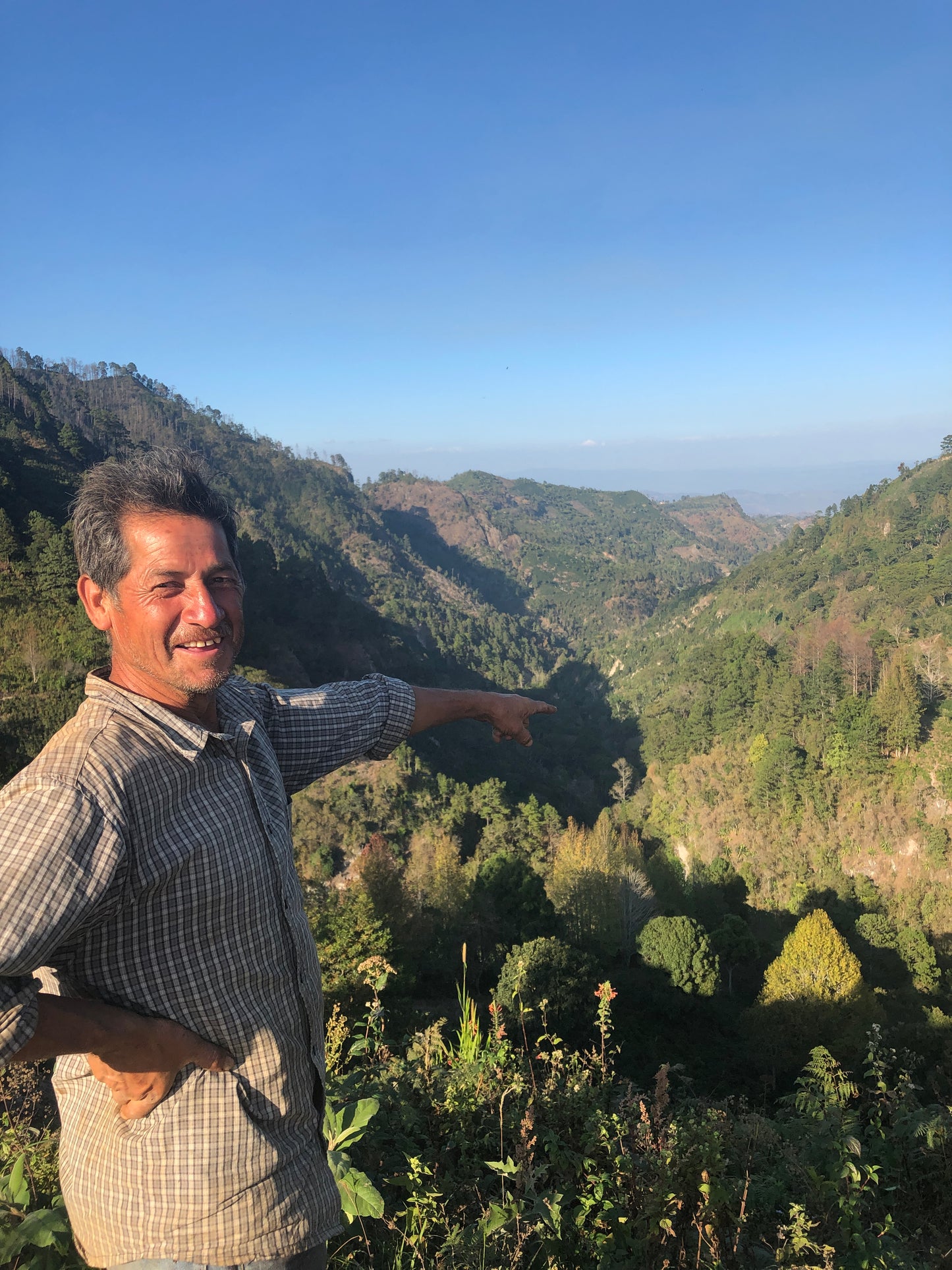 Honduras Sueños Decaf