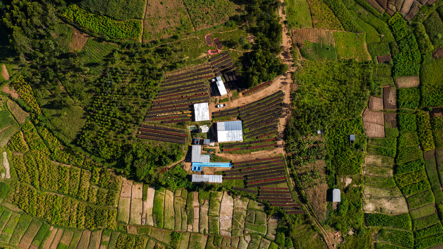 Rwanda Fugi Afrodis Munyangaju