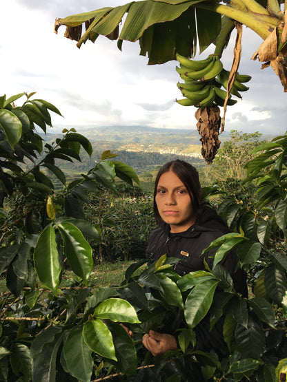 Colombia Silvia Ordoñez Pink Bourbon