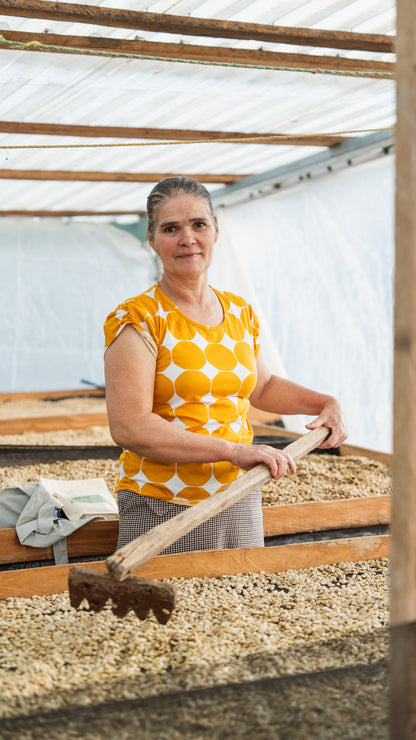 Honduras Sueños Decaf