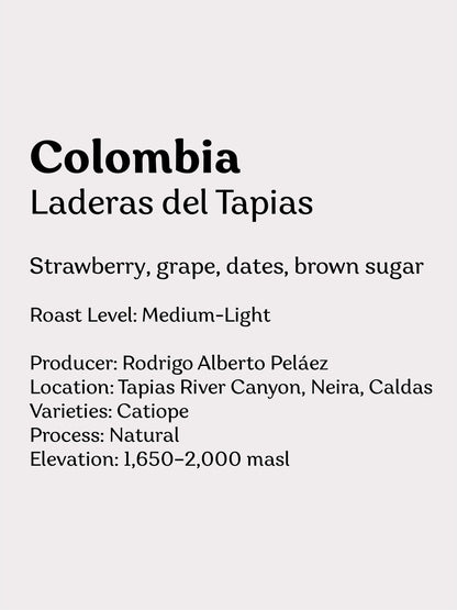 Colombia Laderas Del Tapias