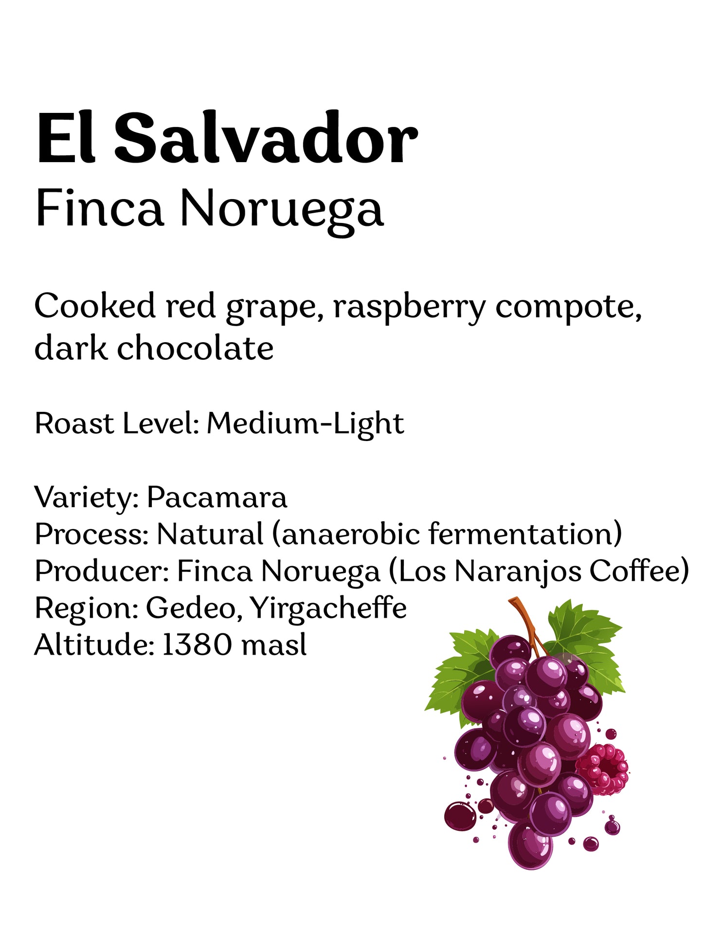 El Salvador Finca Noruega - Wadi Coffee Roasters