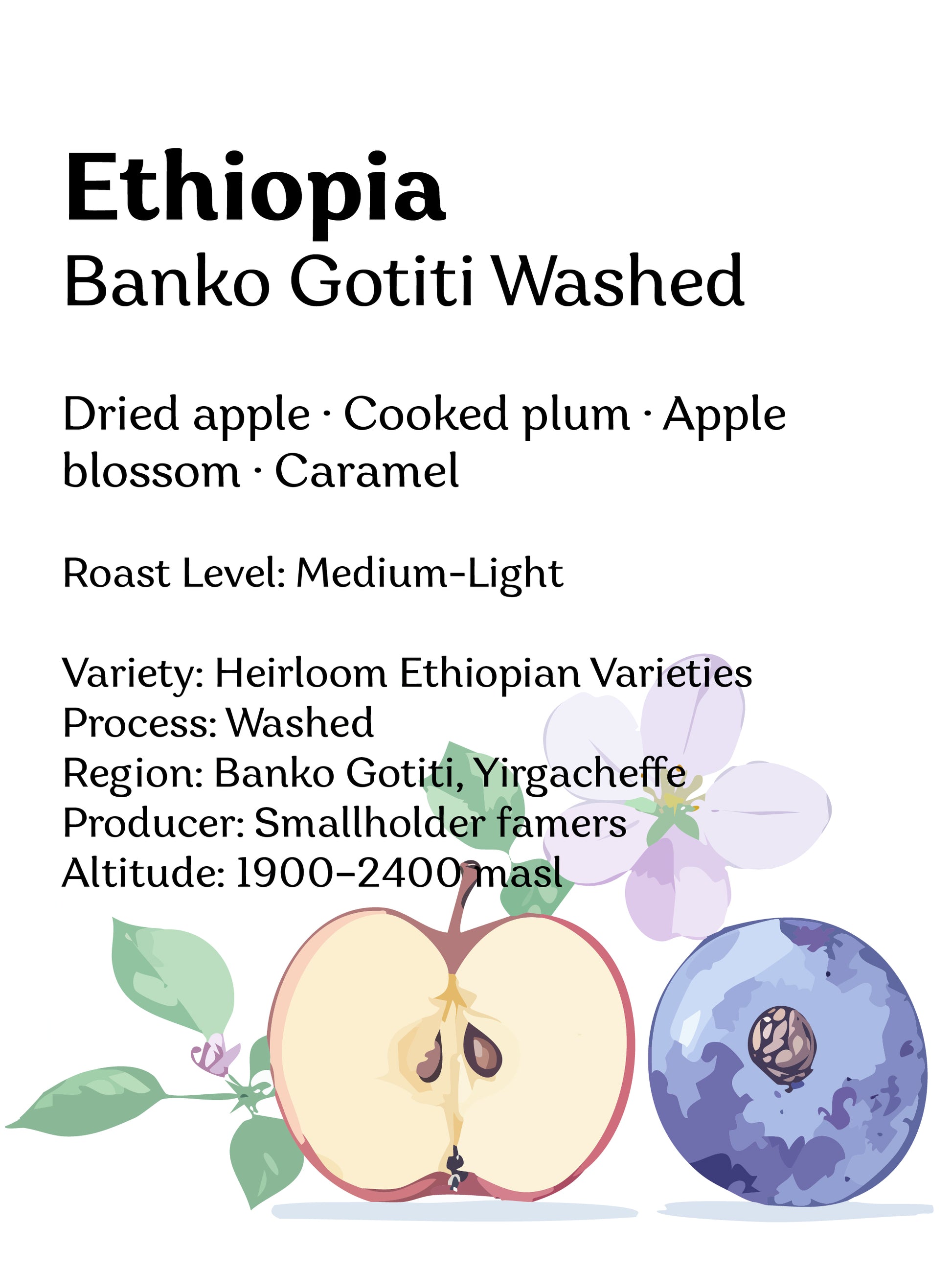 Ethiopia Banko Gotiti - Washed - Wadi Coffee Roasters