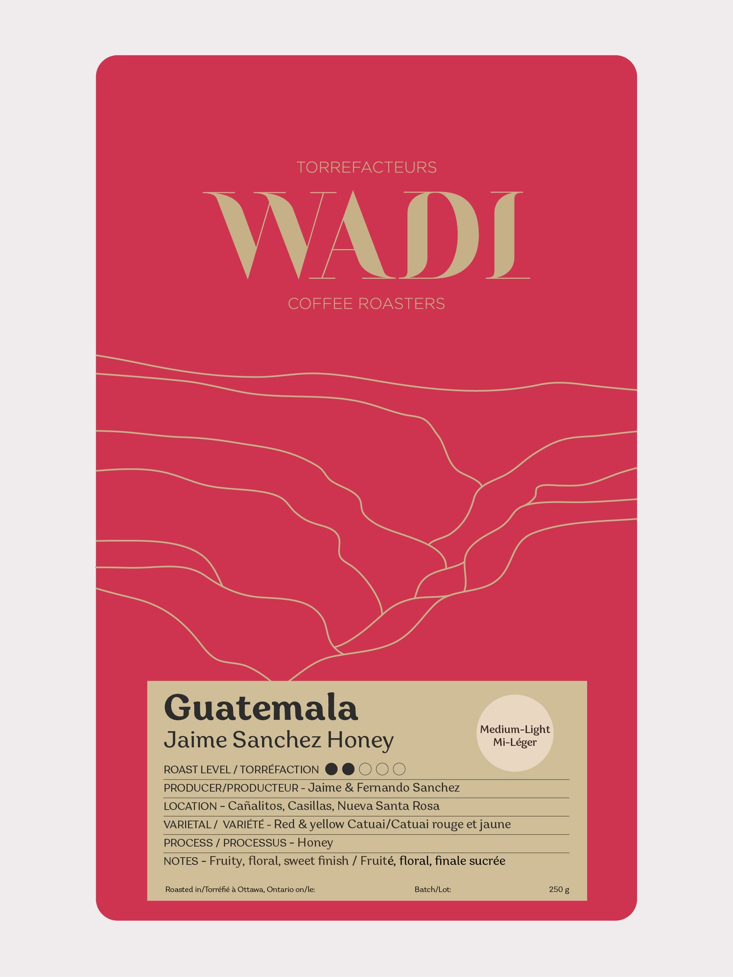Guatemala Jaime Sanchez Honey