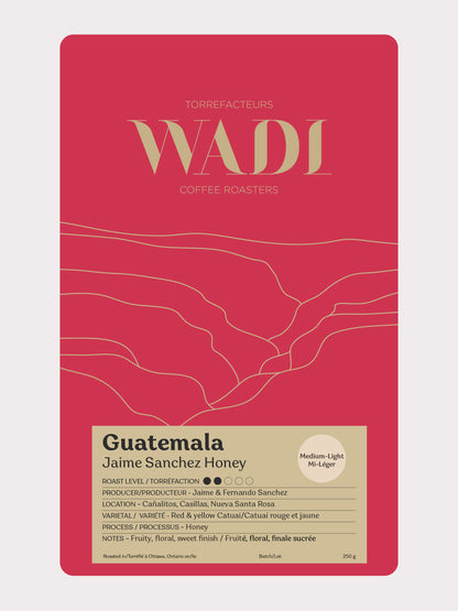 Guatemala Jaime Sanchez Honey